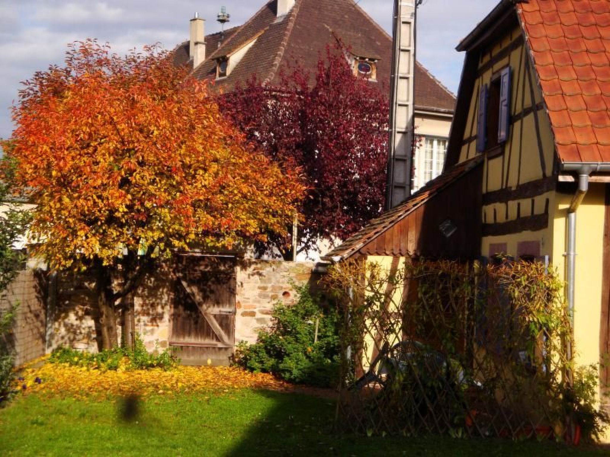 Gite 'Sonneblüem un Pfefferminz'