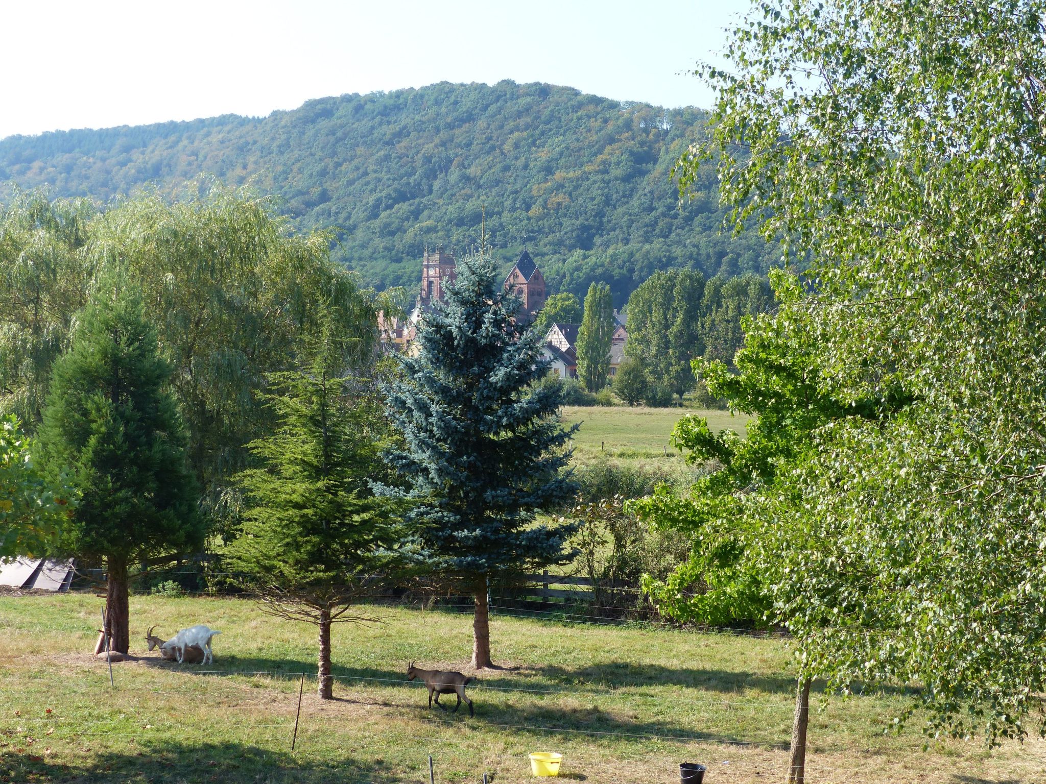 Domäne mit Terrasse, Grill und Garten-Image-tags.info