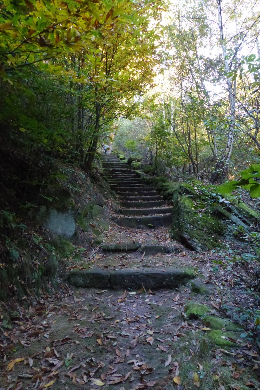 Domäne mit Terrasse, Grill und Garten-Draußen