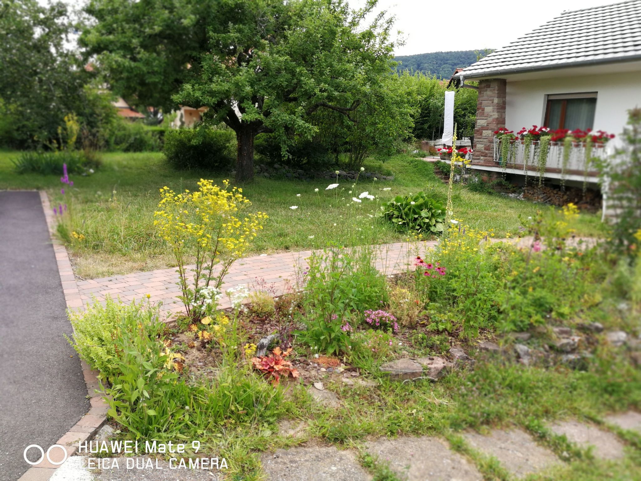 Le Château d'Eau-Binnen