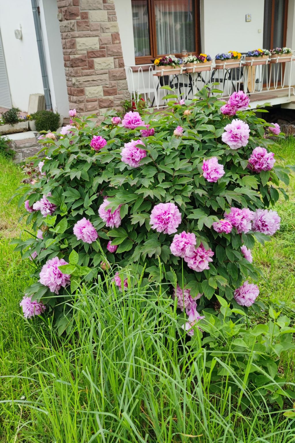 Le Château d'Eau-Binnen