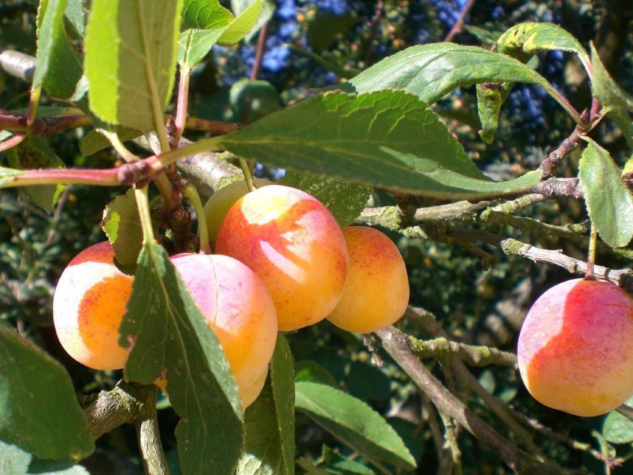 Le Château d'Eau-Binnen