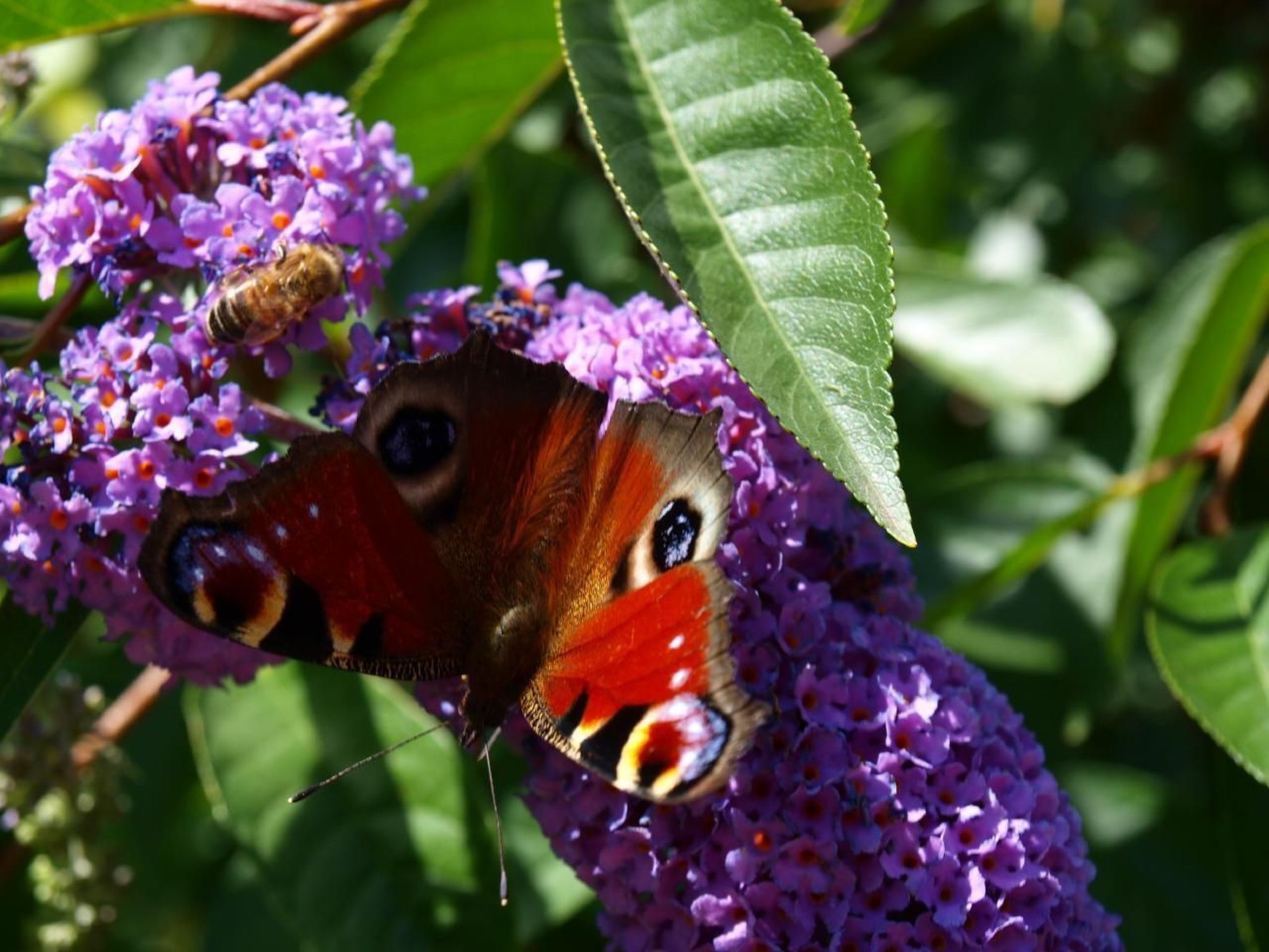 Le Château d'Eau-Binnen