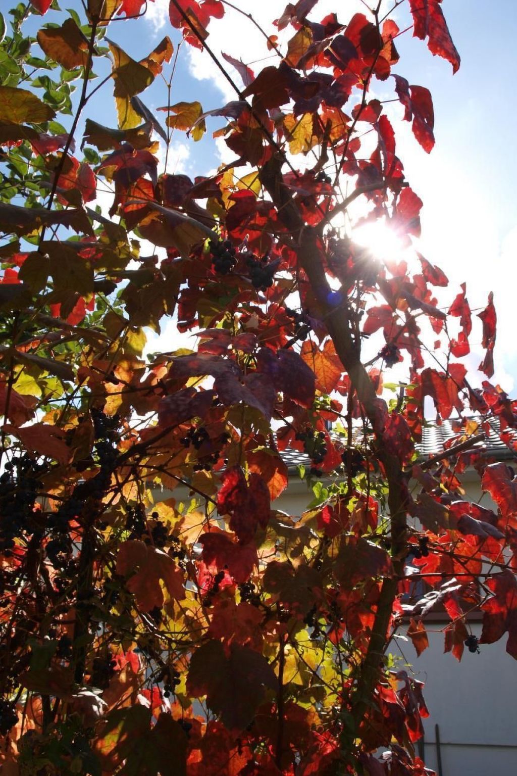 Le Château d'Eau-Binnen