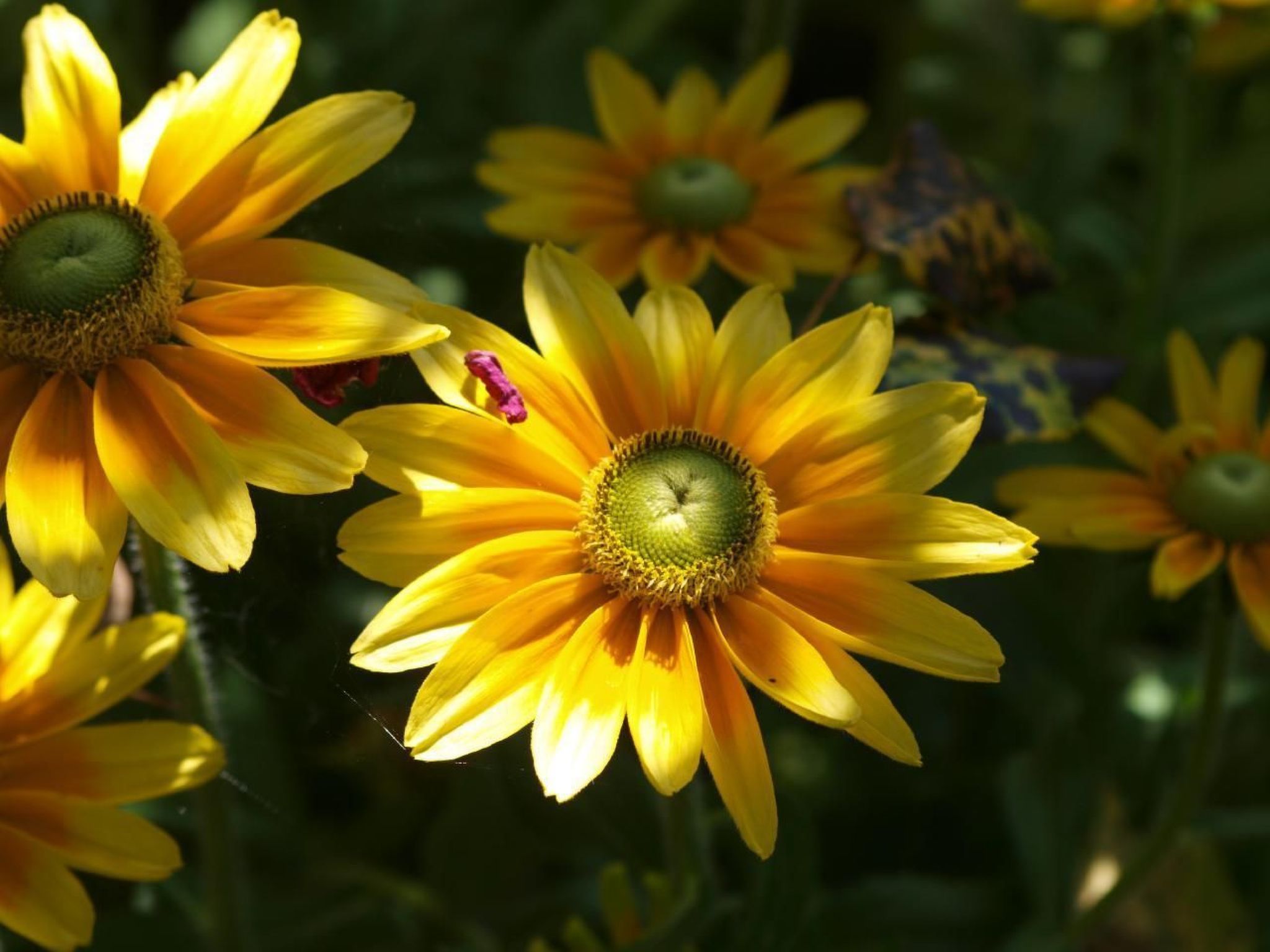 Le Château d'Eau-Binnen