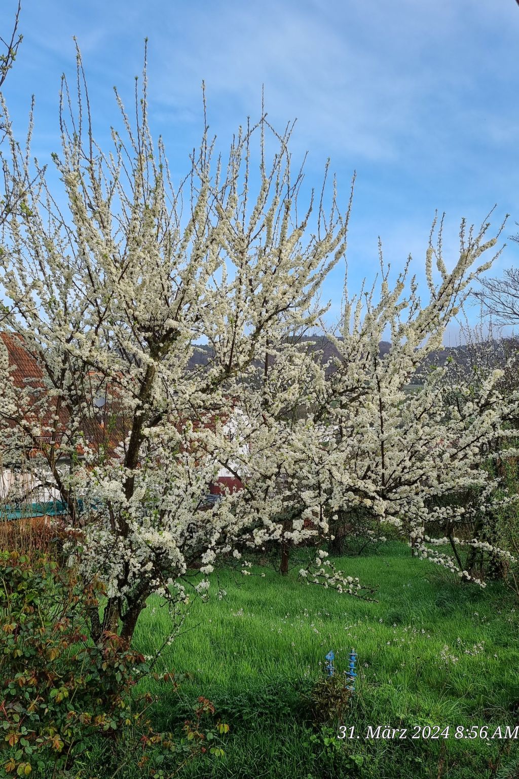 Le Château d'Eau-Binnen