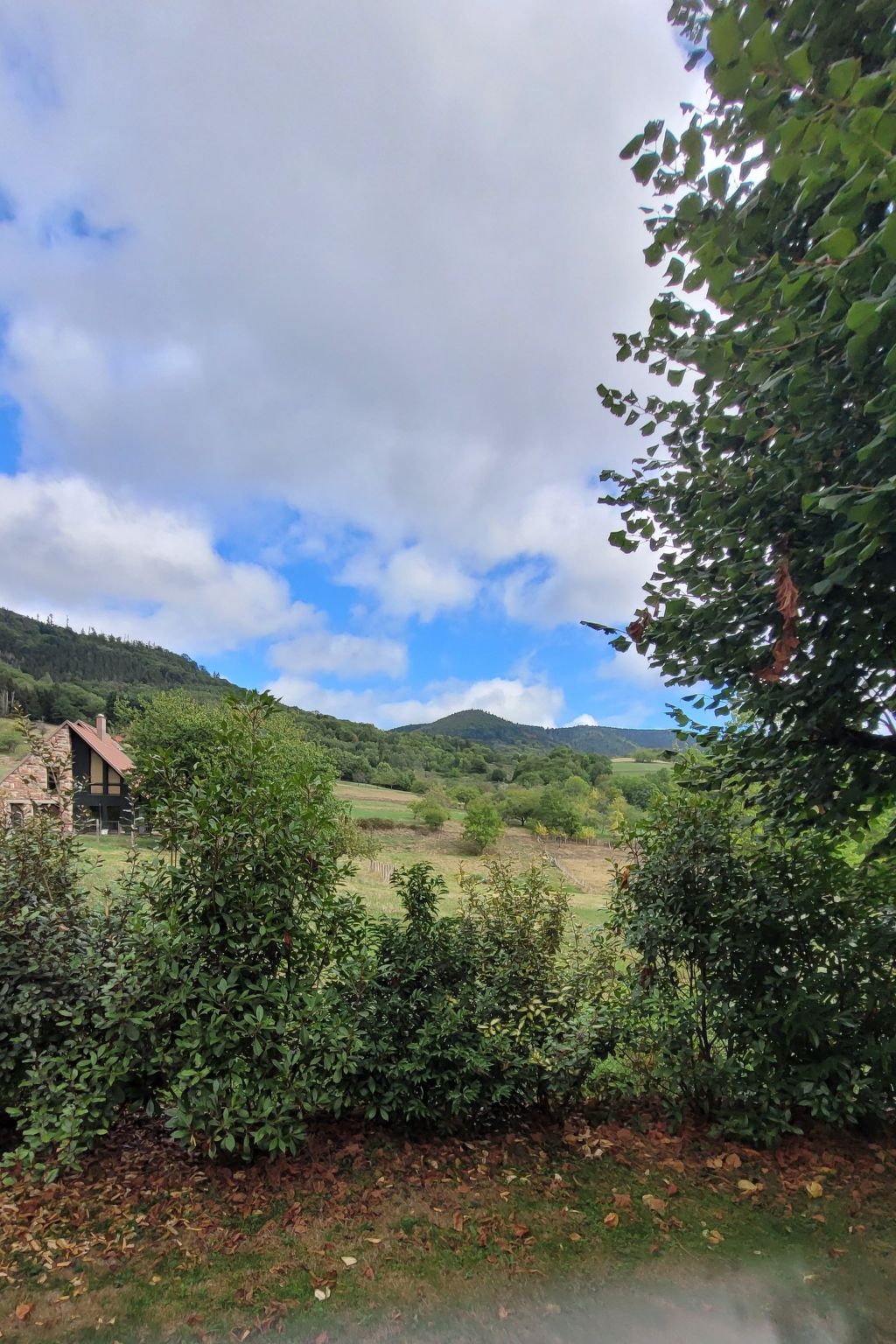 Haus Vosges in Breitenbach-Binnen