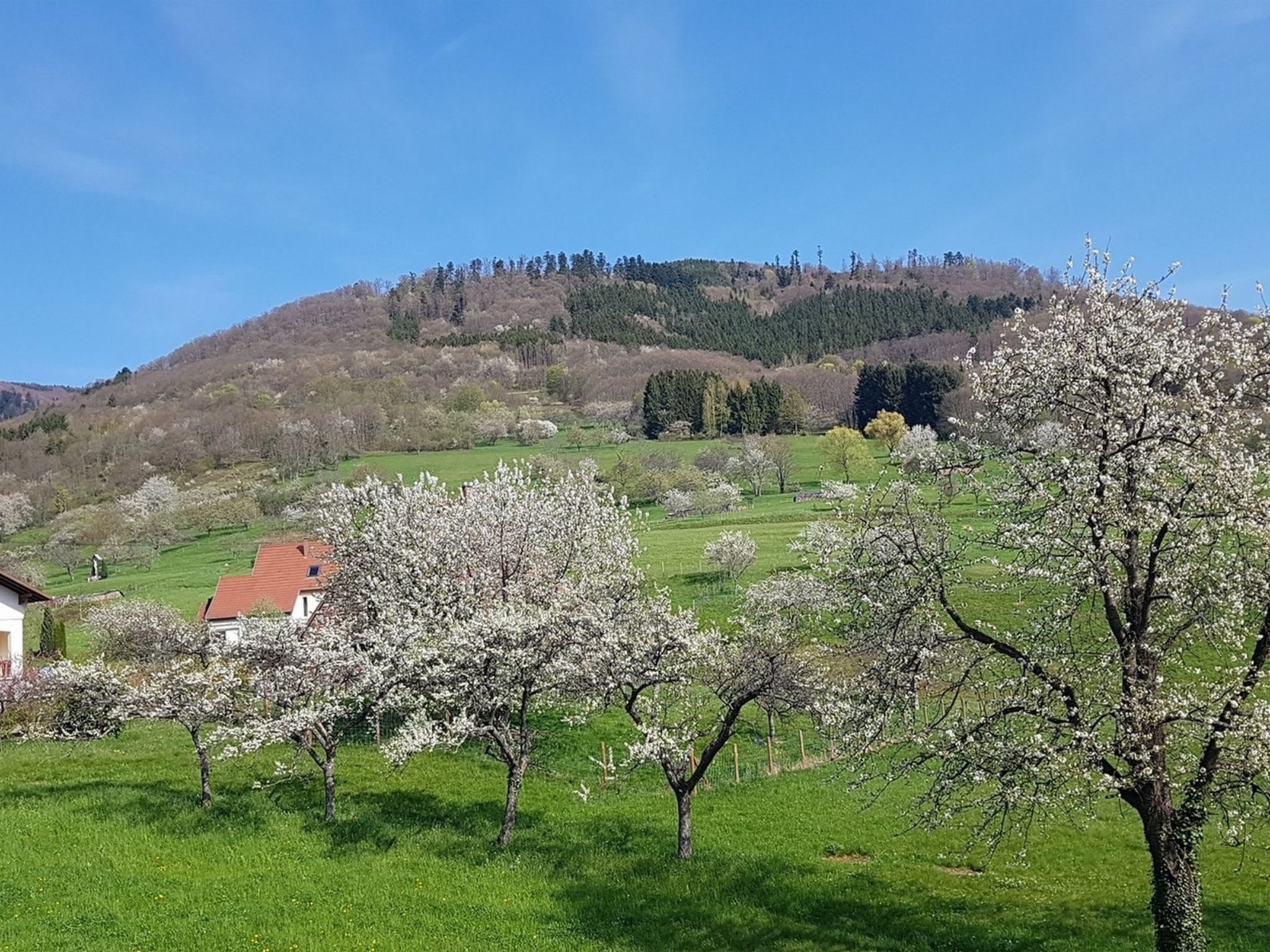 Im Elsass in Breitenbach-Binnen