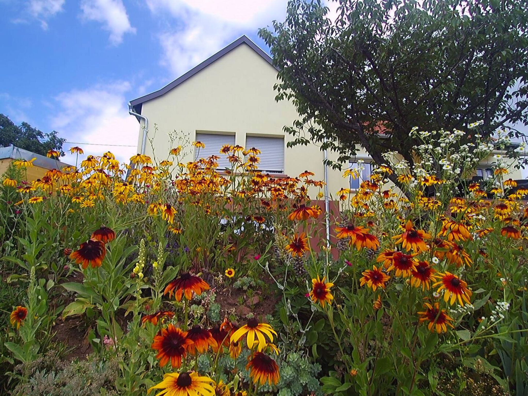 Wohnung du Coucou in Lichtenberg-Binnen