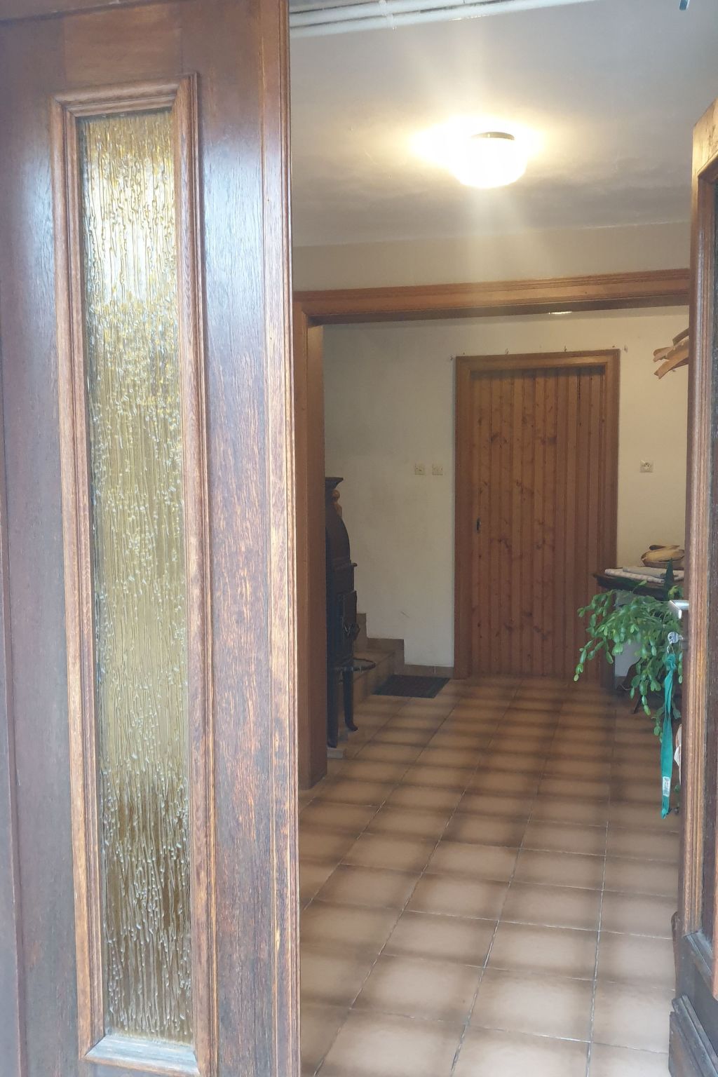 Mit Balkon, Garten und Talblick-Binnen