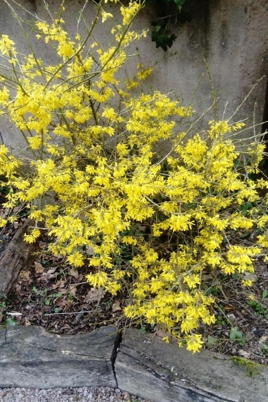 Fachwerkhaus "la maison de vacances" "-Inside