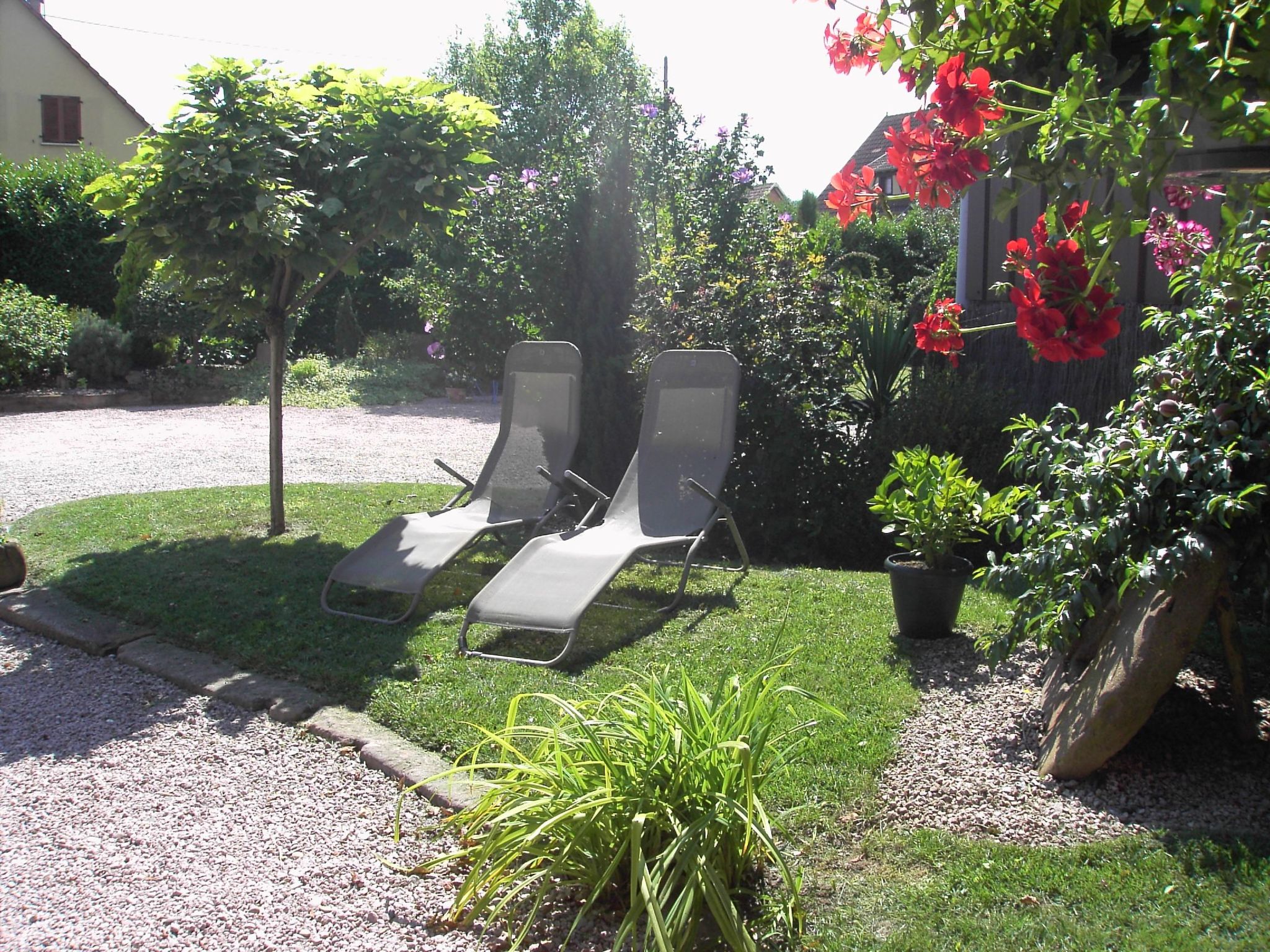 Ruhiges Ferienhaus mit Garten an der Weinstraße-Image-tags.info