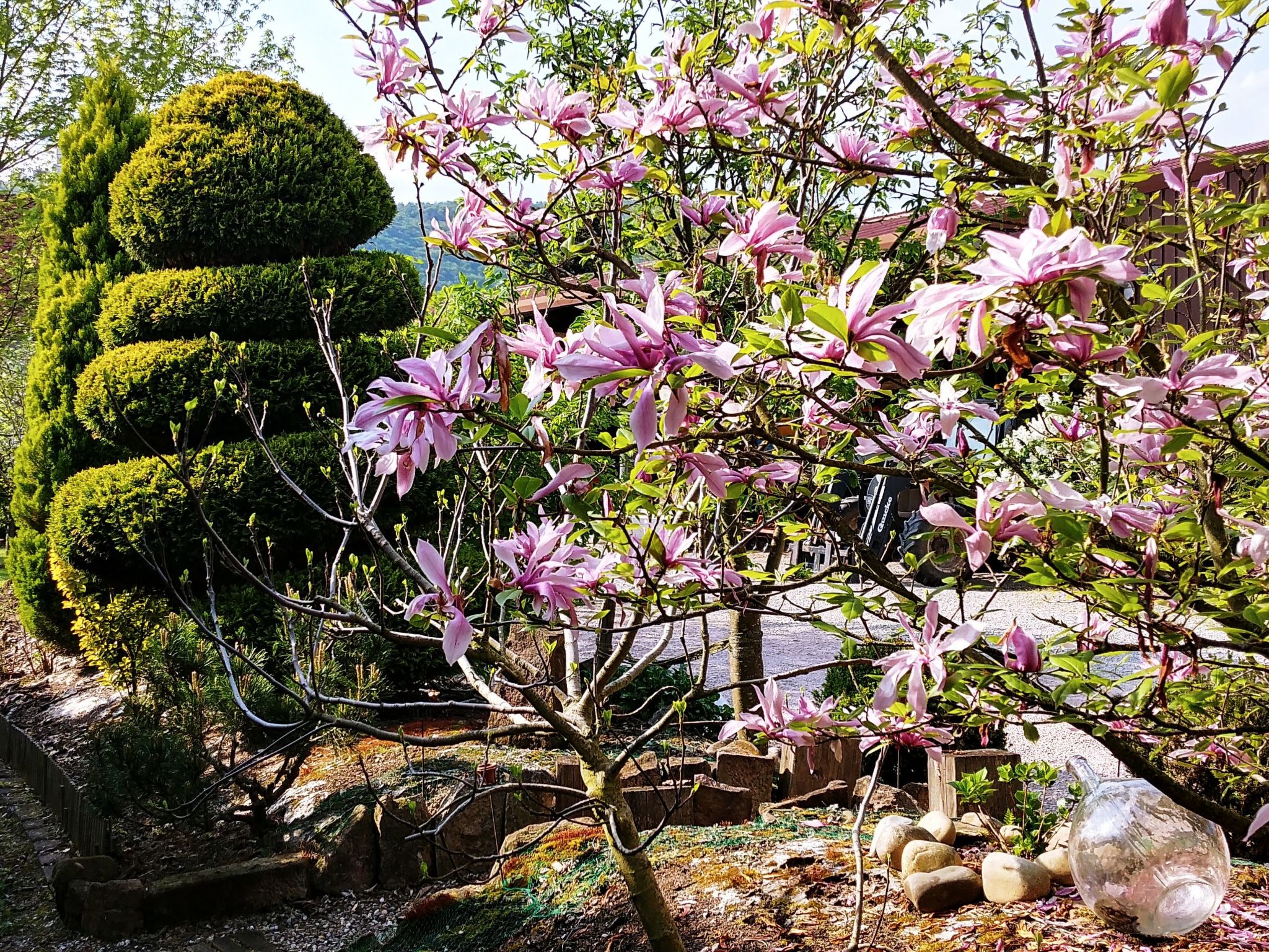 Ruhiges Ferienhaus mit Garten an der Weinstraße-Image-tags.info