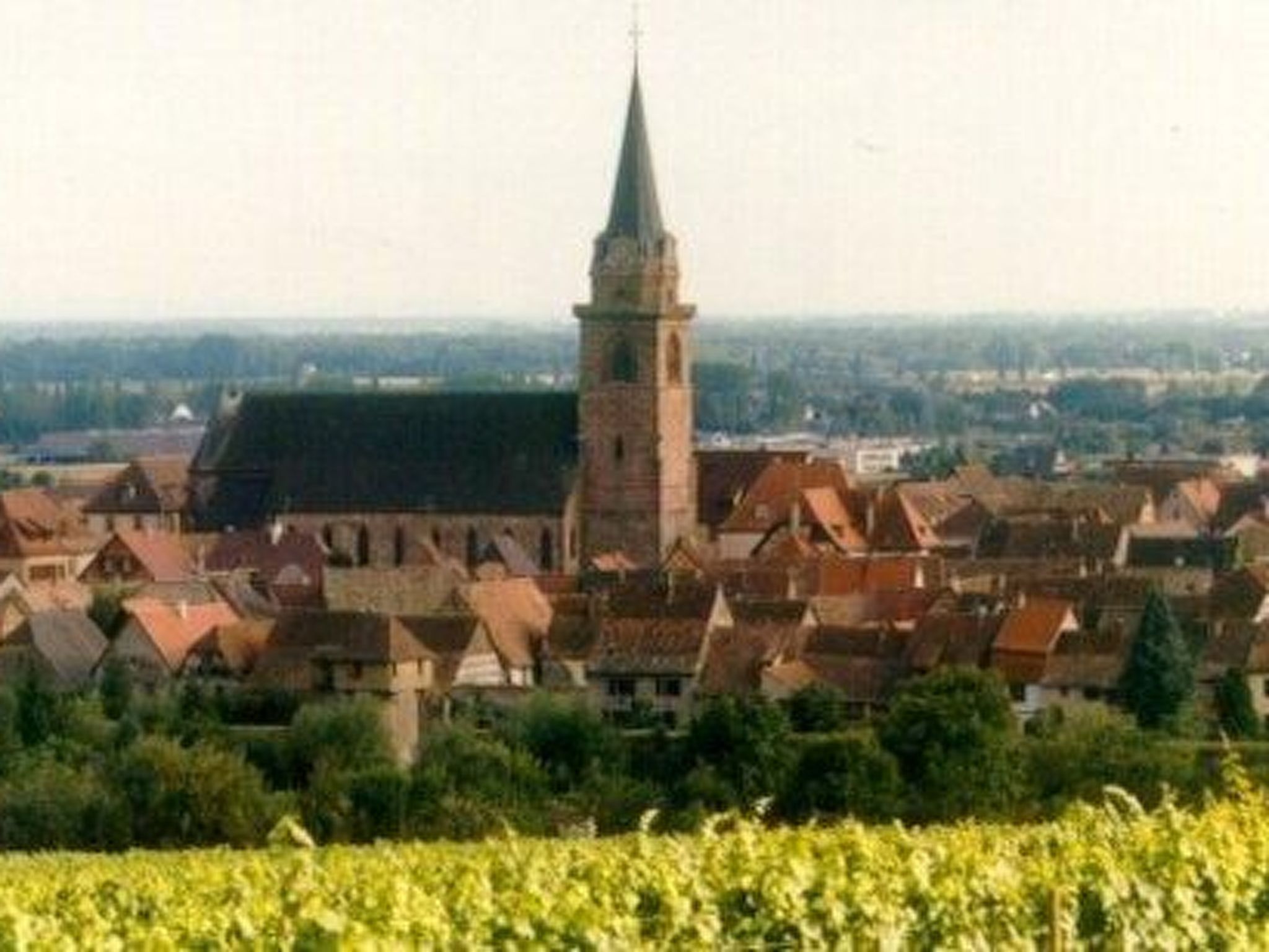 La Maison Bleue im Zentrum des Elsass in Bergheim-Binnen