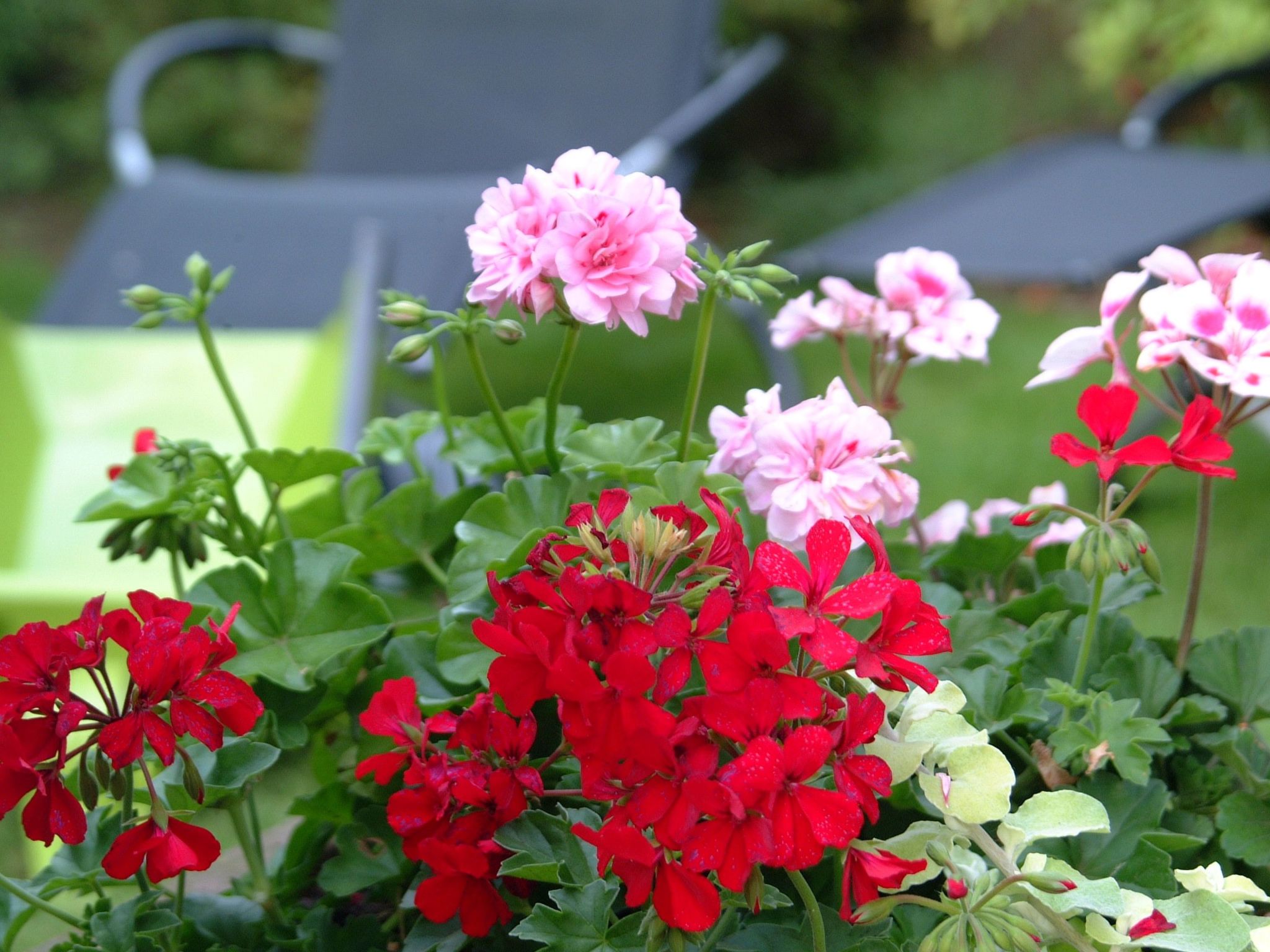 Apartment Le Jardin mit Privatparkplatz-Buiten