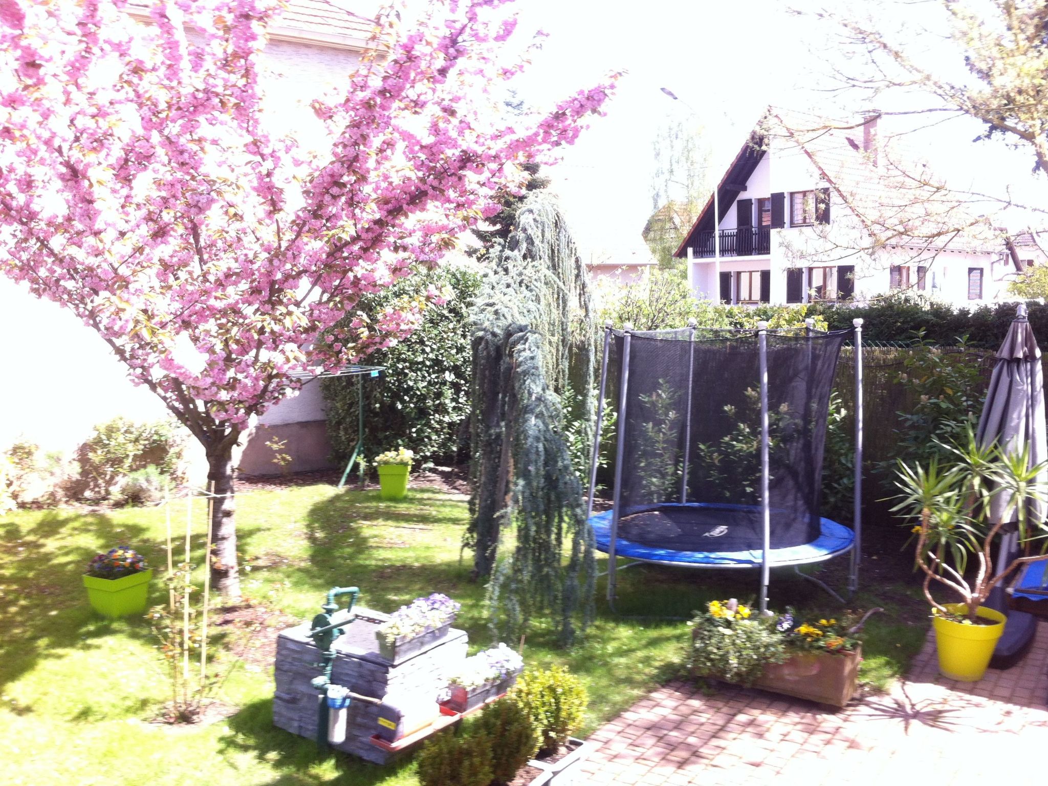 Apartment Le Jardin mit Privatparkplatz-Buiten