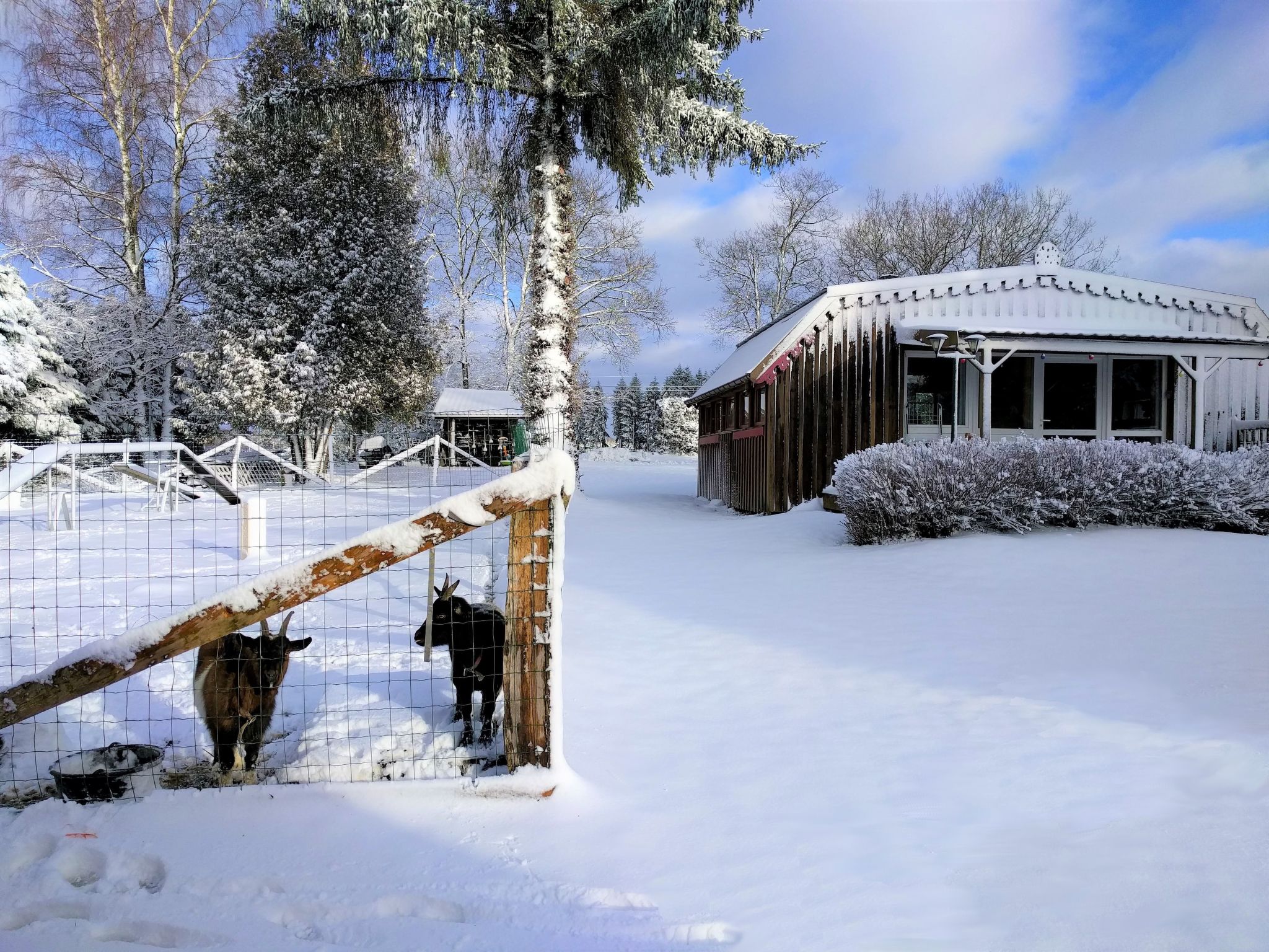Charmantes Ferienhaus mit gemeinsamem Grill-Dedans