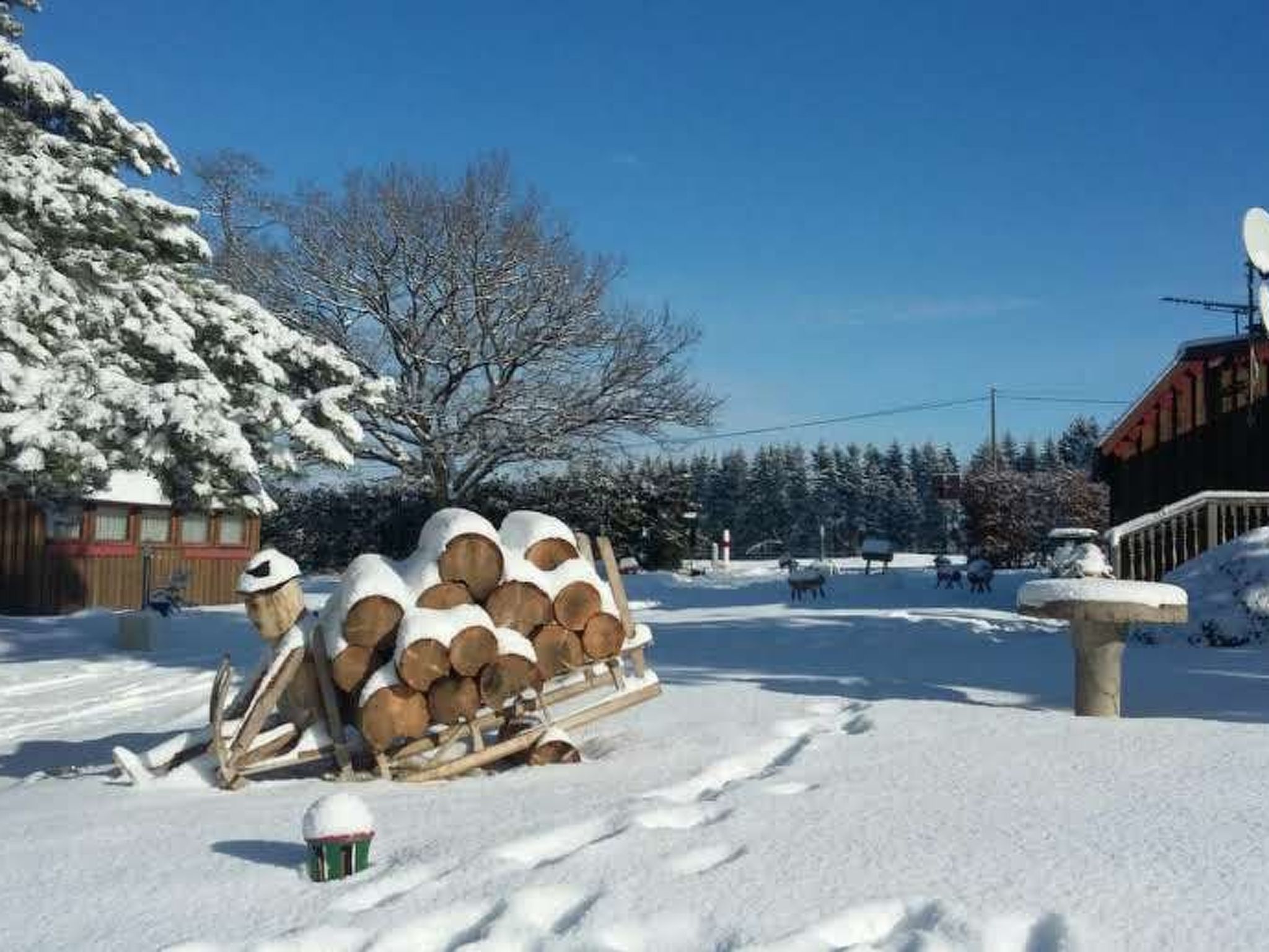 Charmantes Ferienhaus mit gemeinsamem Grill-Dedans