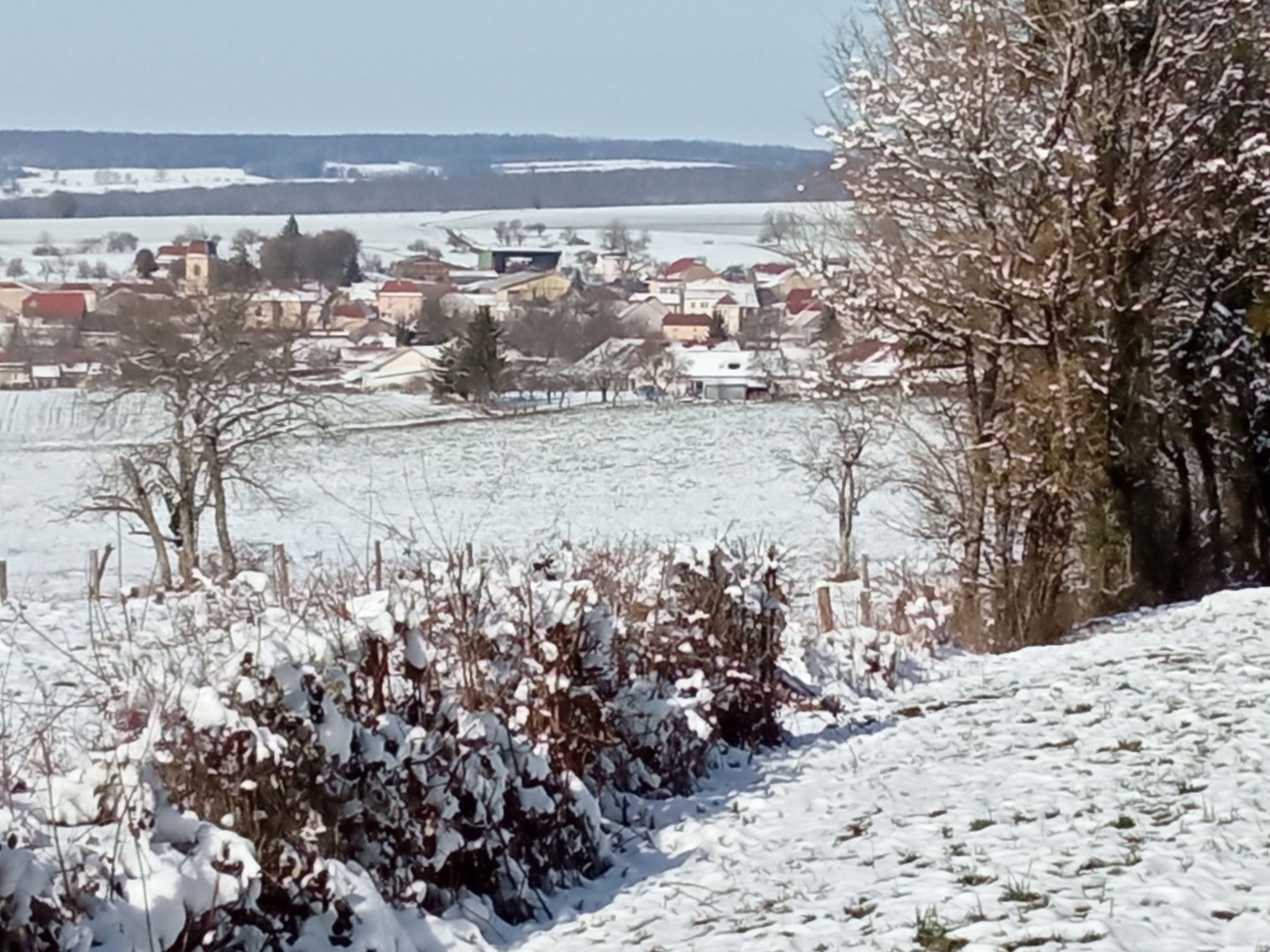 Les deux Unicornes Herrenhaus-Buiten