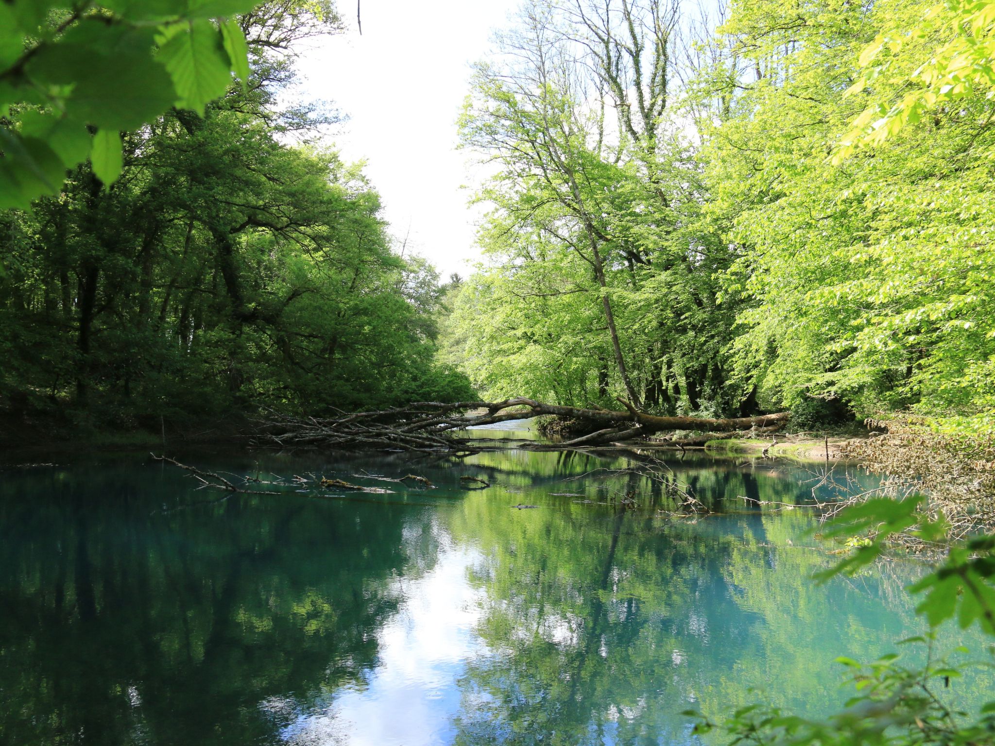 Les deux Unicornes Herrenhaus-Buiten