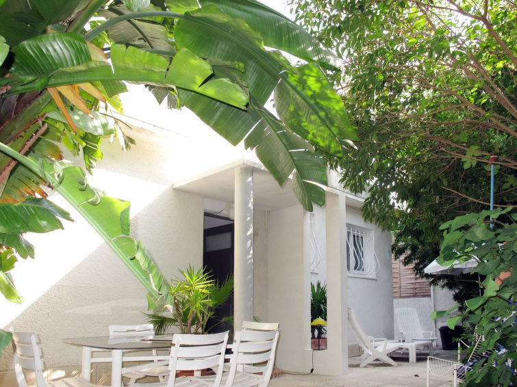 Les Siamois (EZE100)