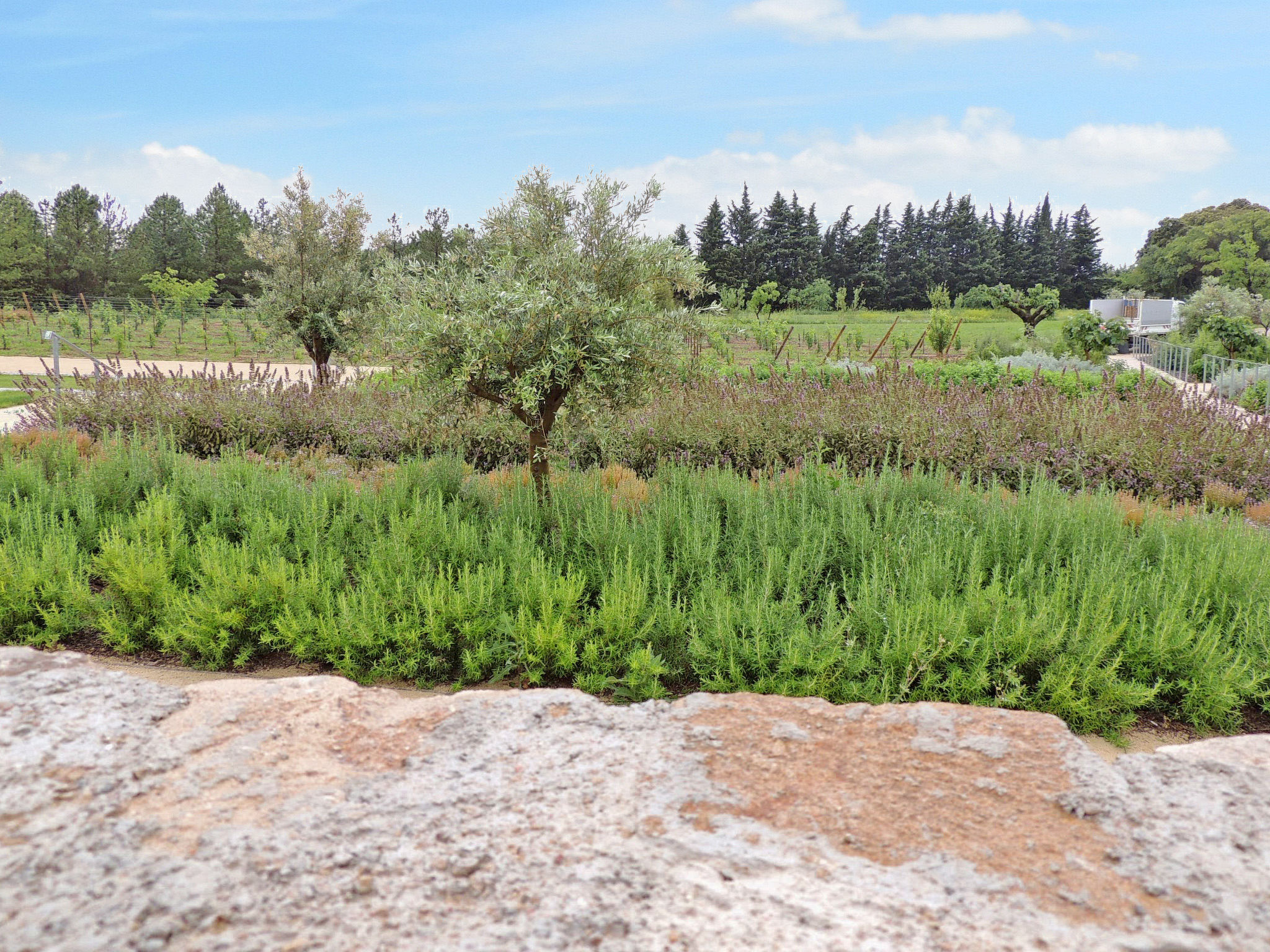 Le Domaine de Bacchus-Buiten