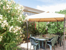 Les Rosiers Grimpants