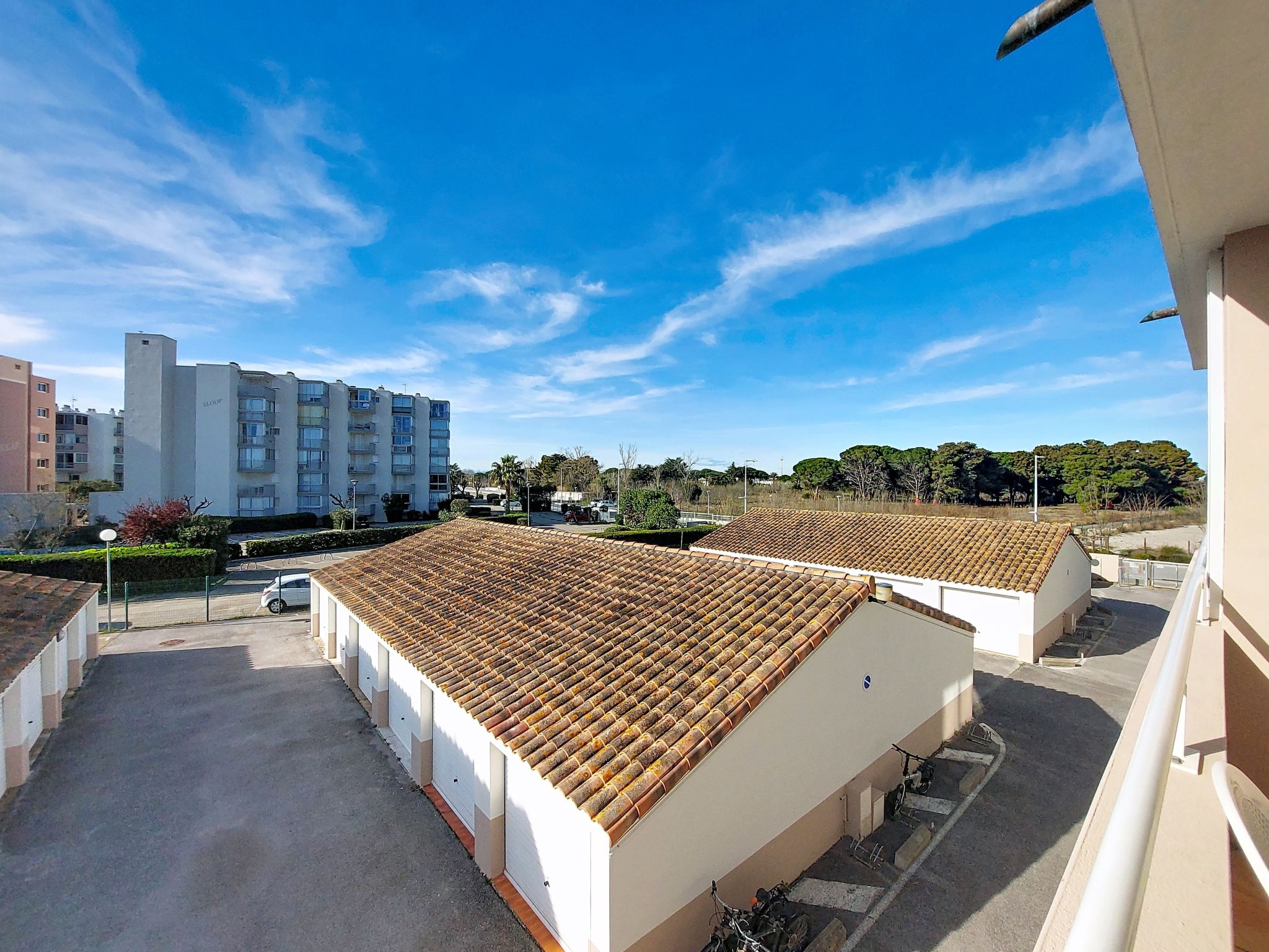 Photo of Le Myflower