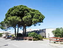 Vacation home Grau Village