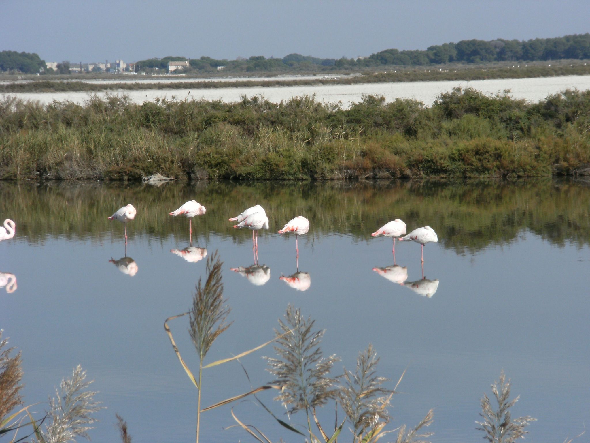 Mit Dachterrasse-Outside