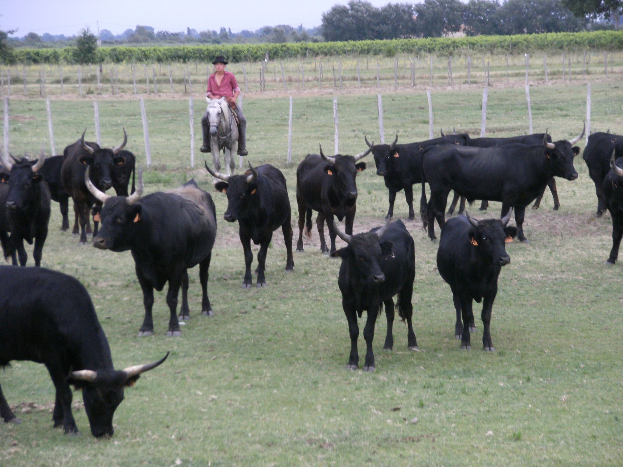 Mit Dachterrasse-Outside