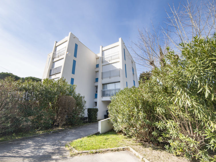 Photo of Holiday 34