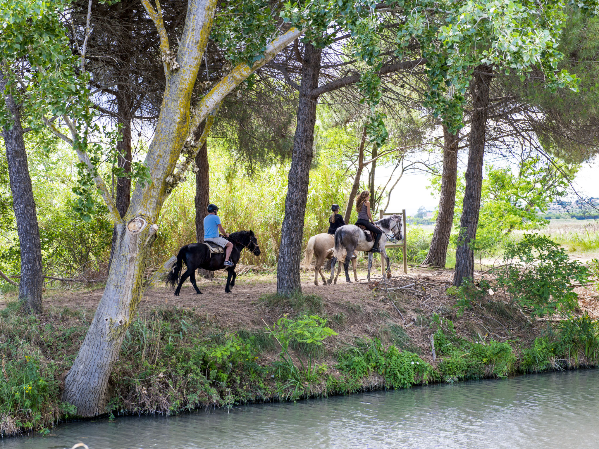 Domaine des Tamaris (PTI110)-Omgeving