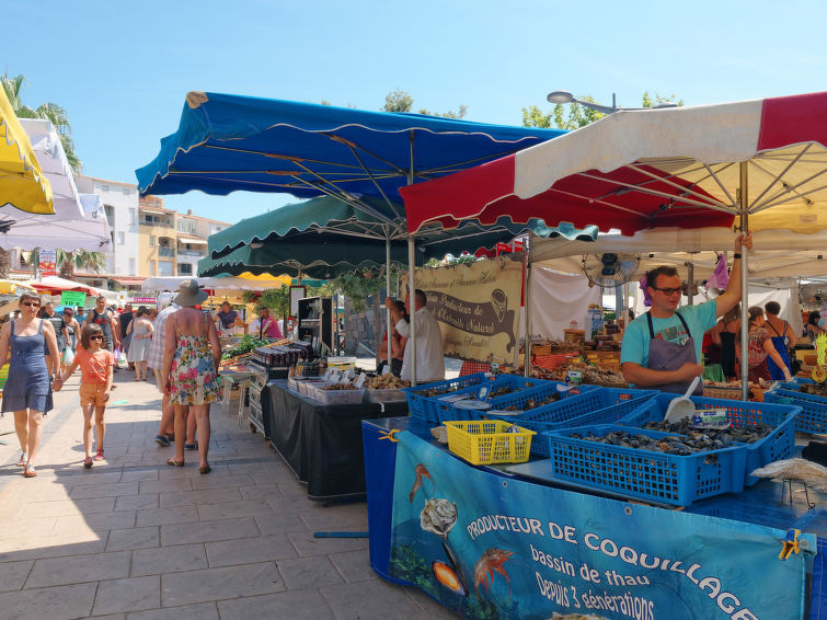 Photo of Île St Martin