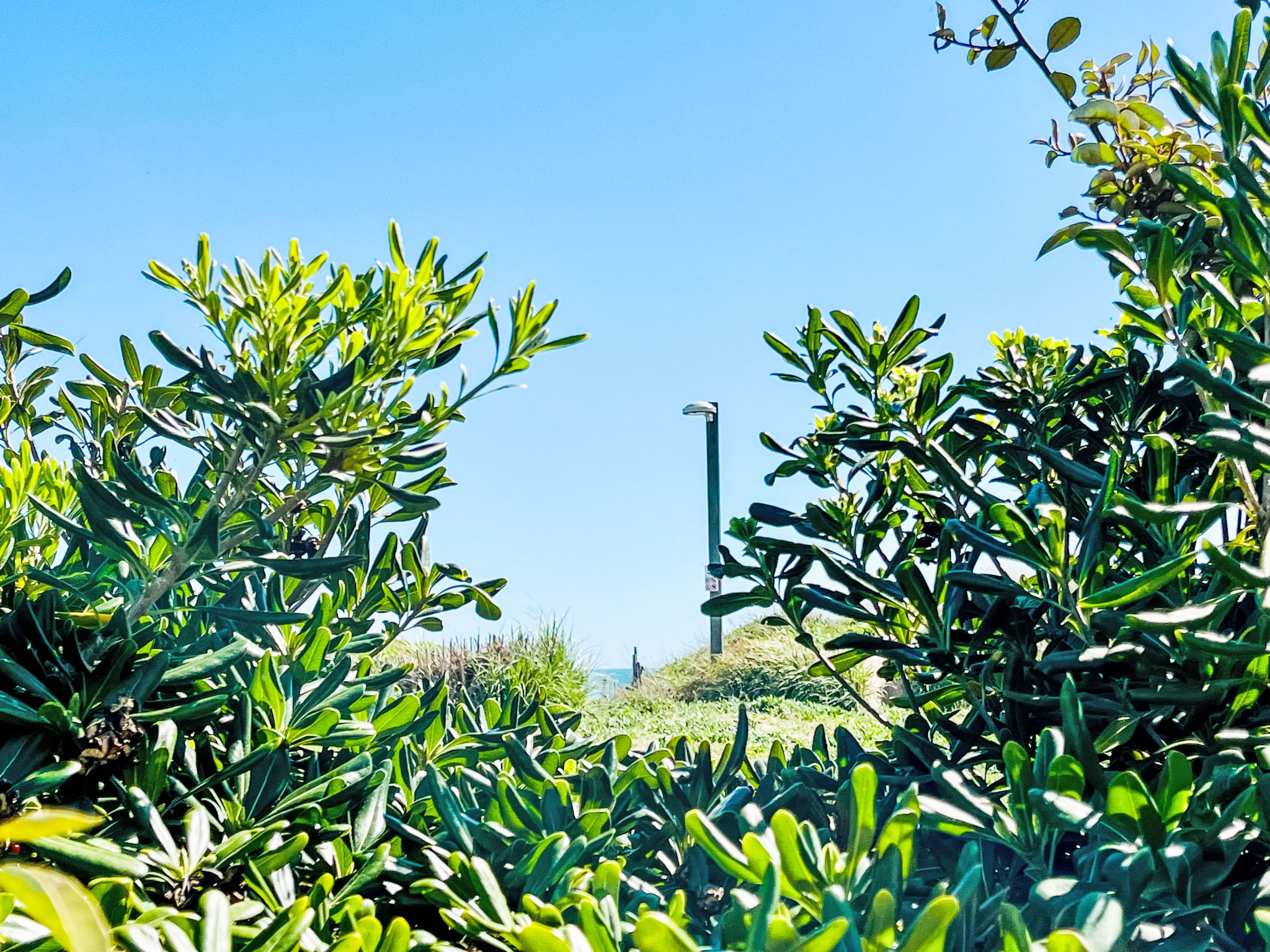 Photo of Les Maisons sur la Plage