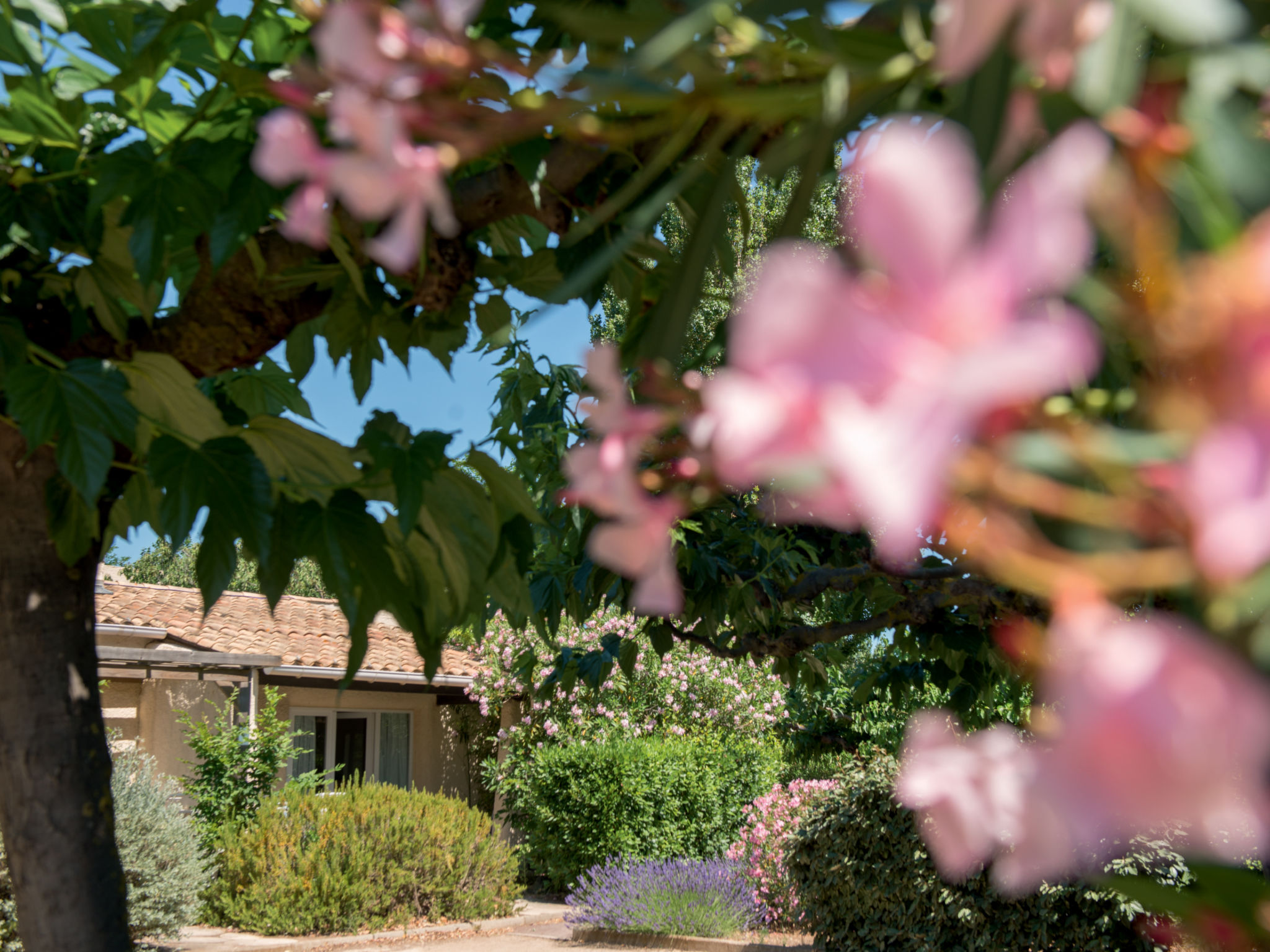 Photo of Sowell Résidence Les Lauriers Roses