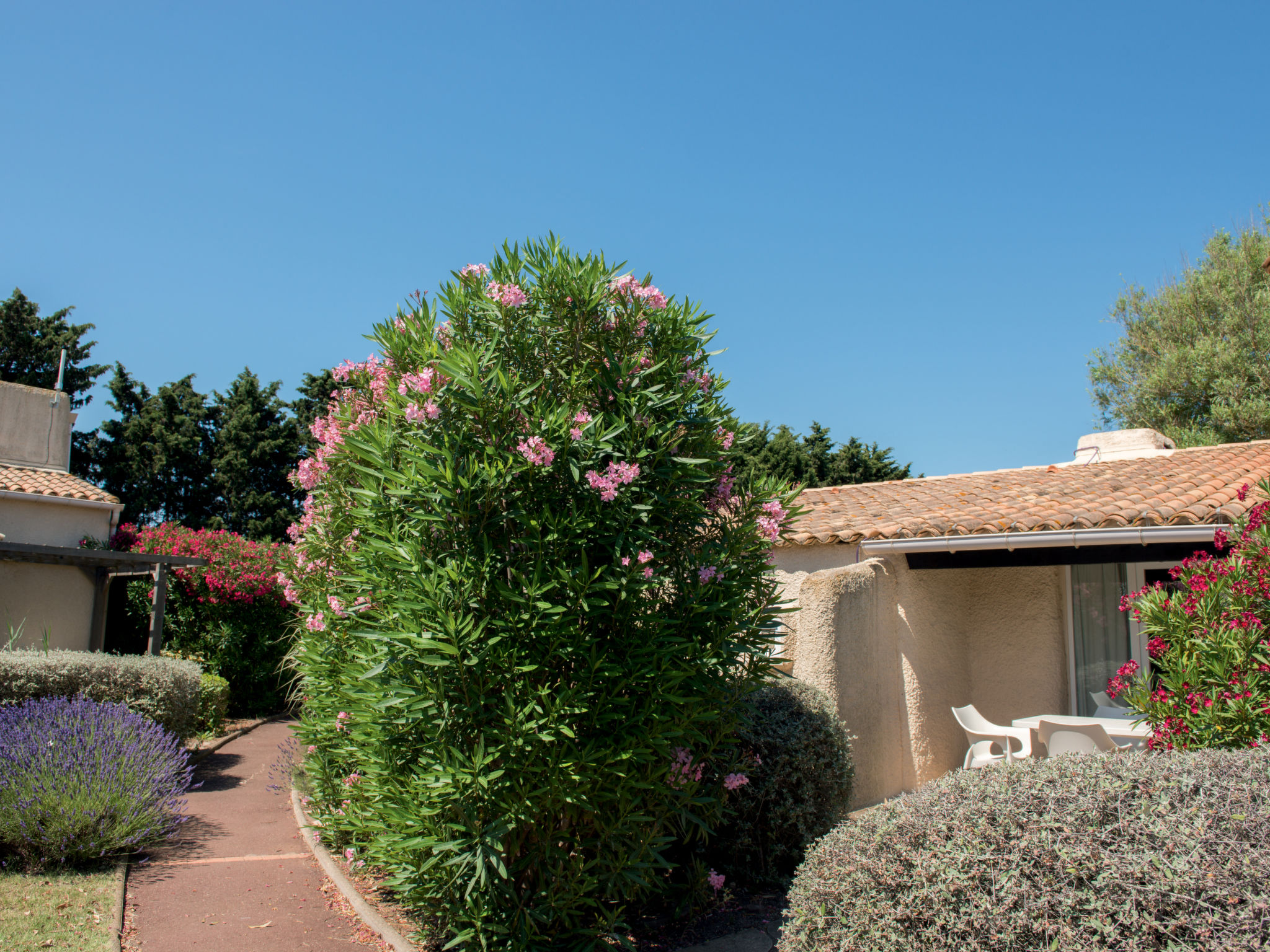 Photo of Sowell Résidence Les Lauriers Roses