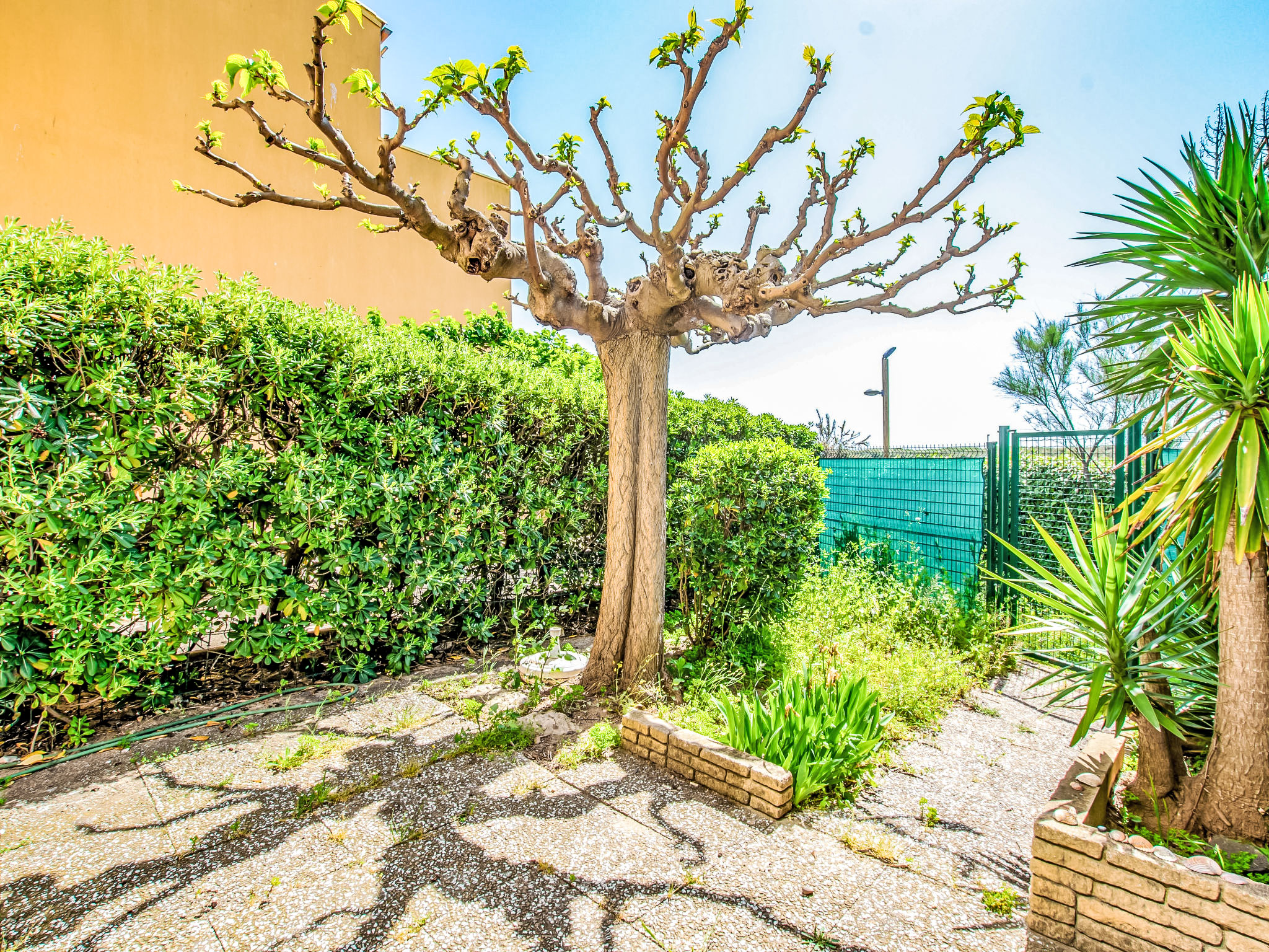 Photo of Les terrasses de la Plage