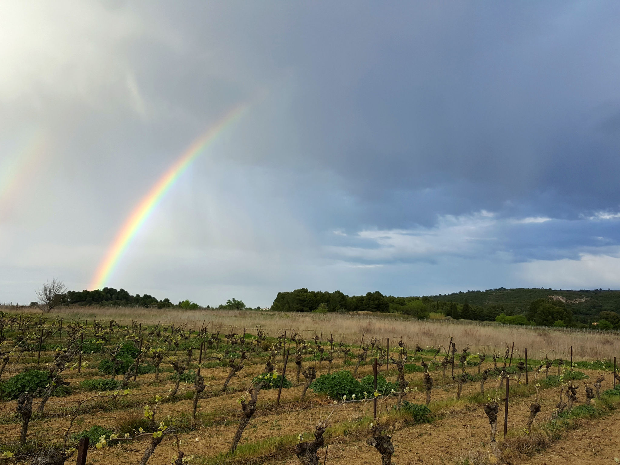 Les Hauts d'Azur-Omgeving