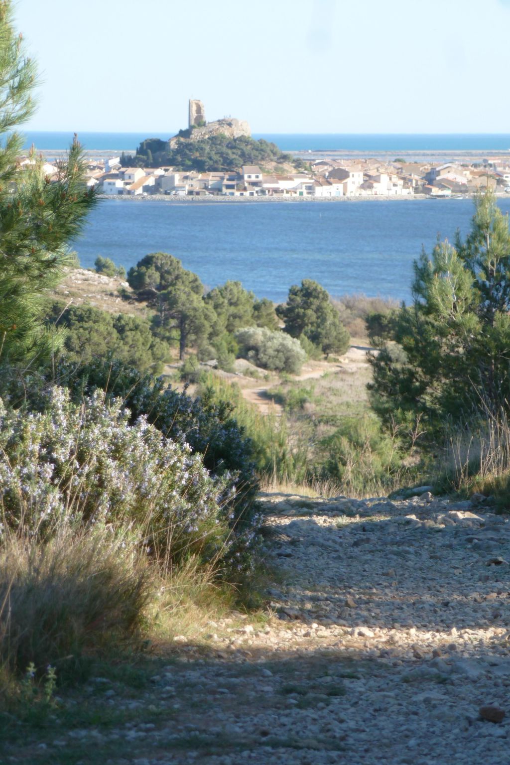 Photo of SAISONALE VERMIETUNG: DIE PERGOLA AM STRAND.