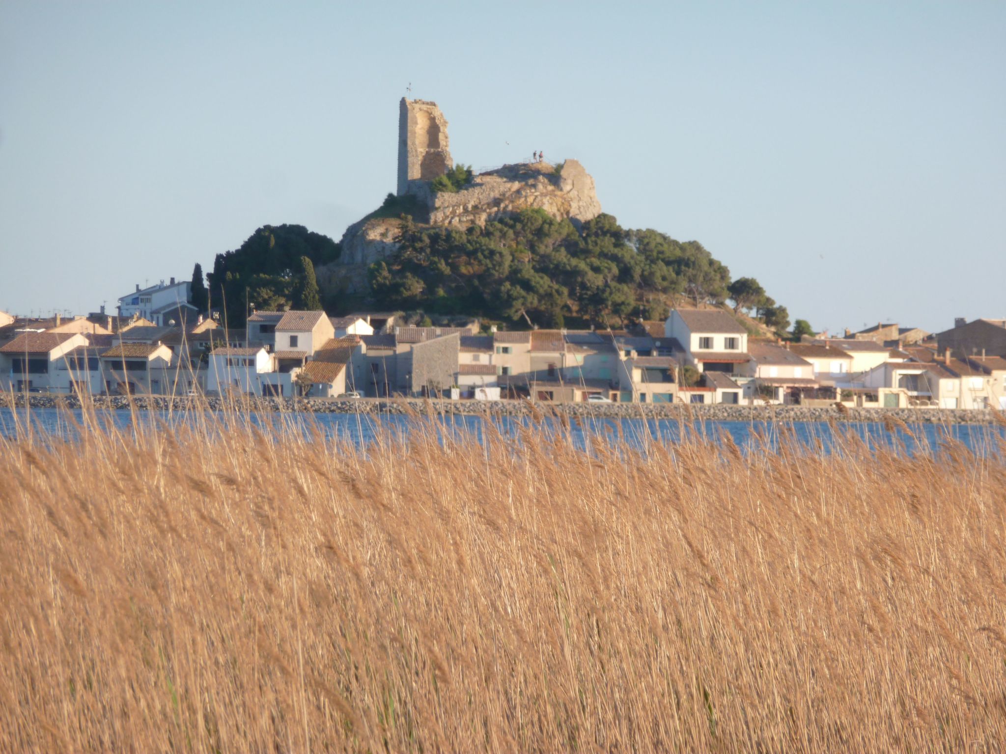 Photo of SAISONALE VERMIETUNG: DIE PERGOLA AM STRAND.