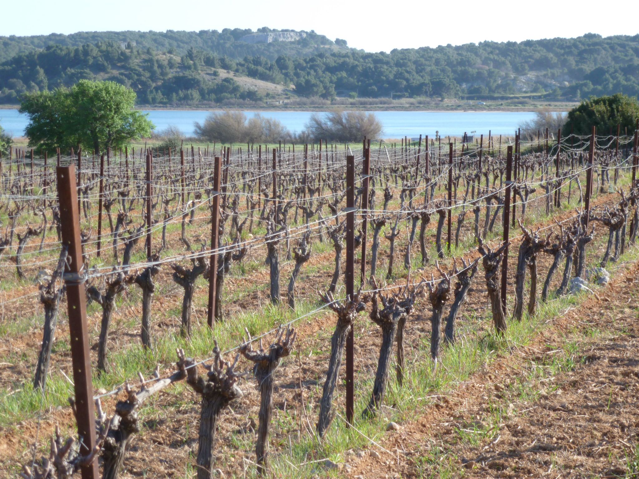 Photo of SAISONALE VERMIETUNG: DIE PERGOLA AM STRAND.