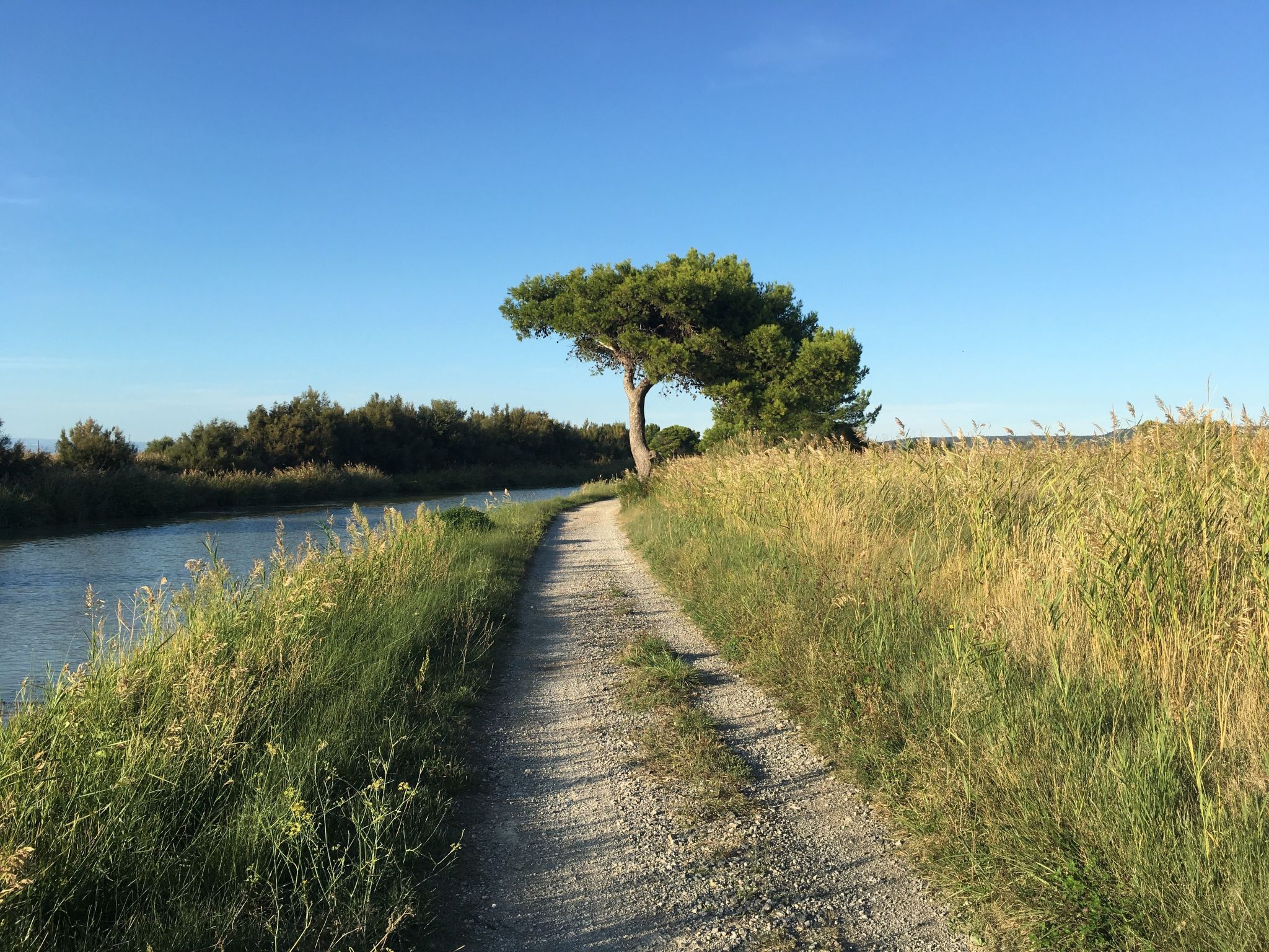 Photo of Residence du Grazel