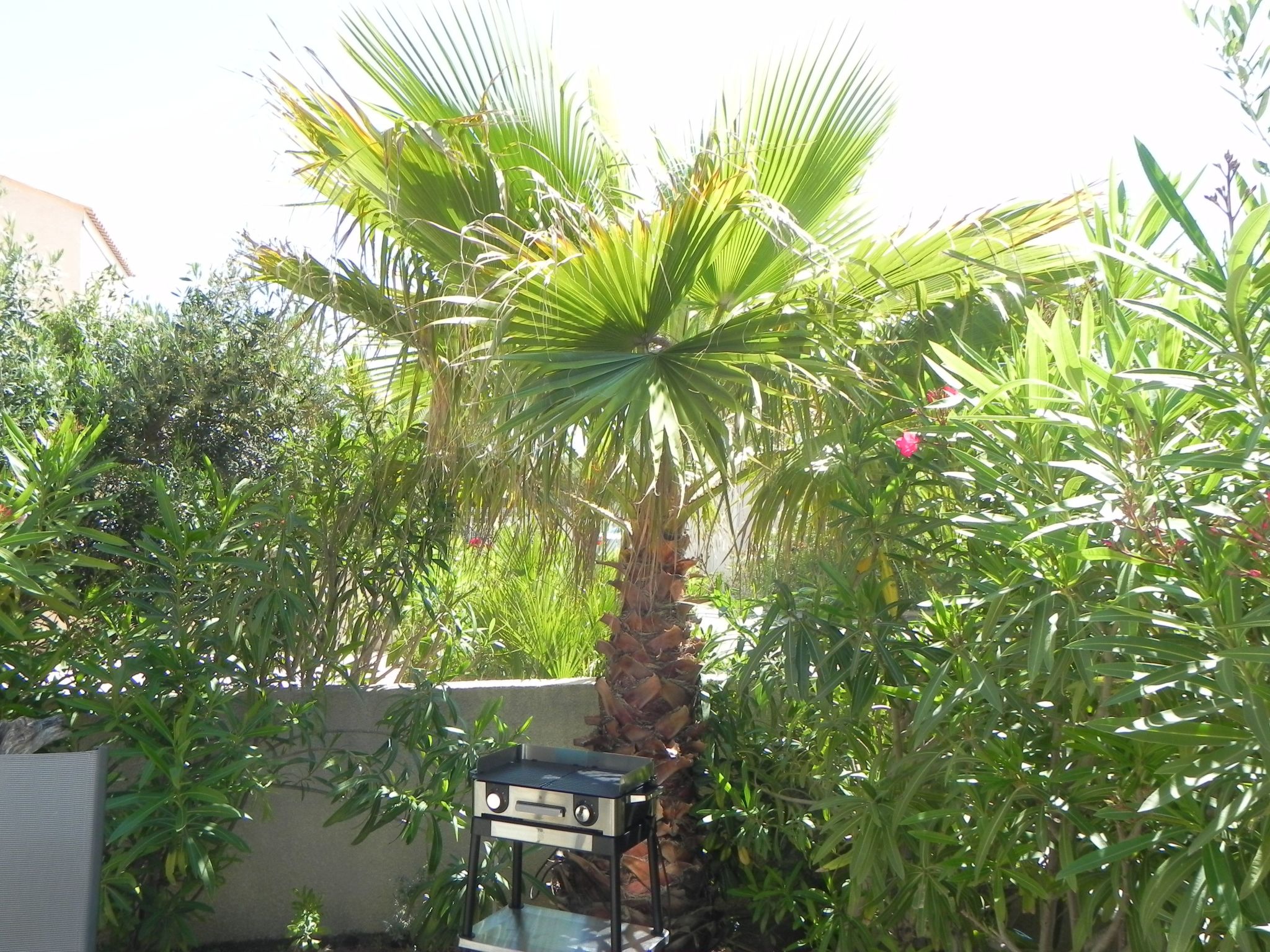 Photo of Residence du Grazel