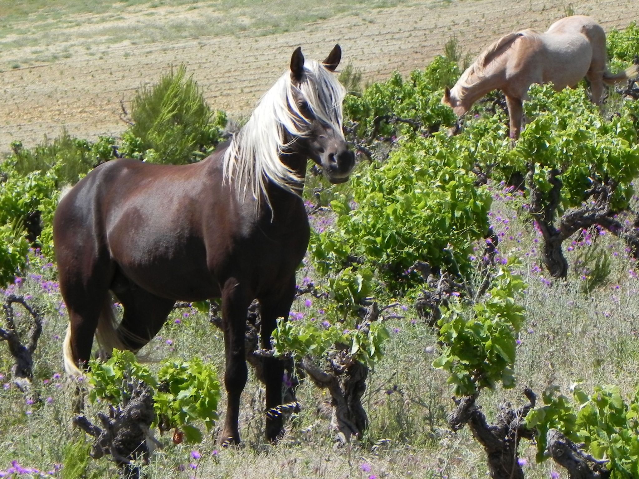 Photo of Residence du Grazel