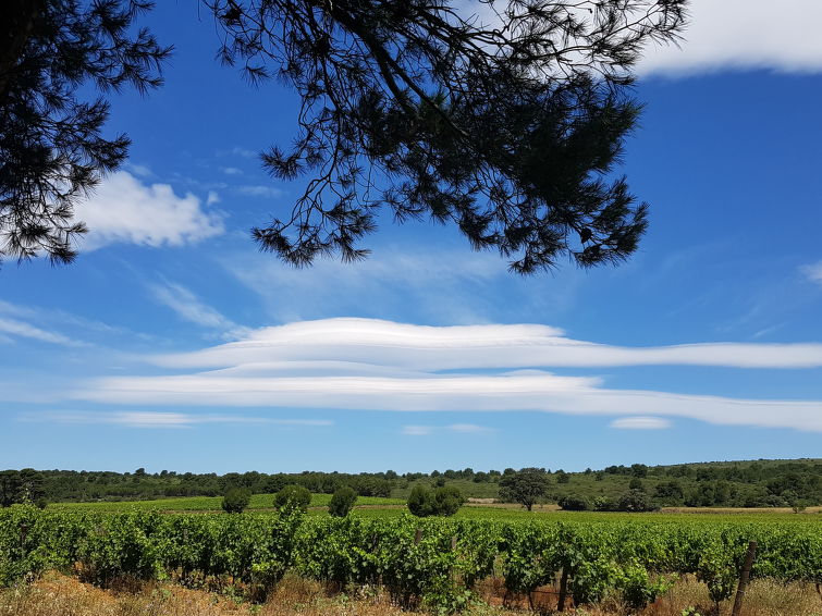 Photo of Les Romarins