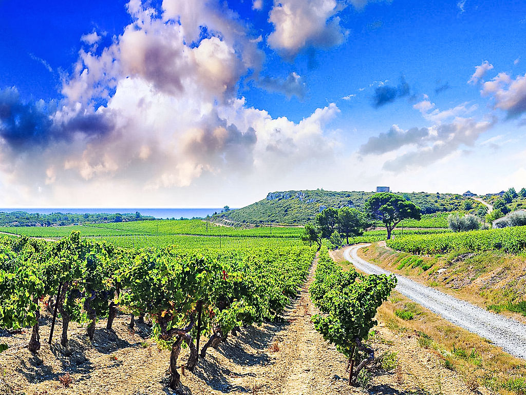 Ferienwohnung Le Chais Ferienwohnung  Languedoc-Roussillon