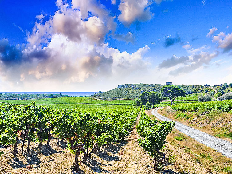 Ferieleilighet Les Vendanges