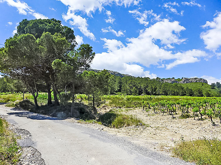 Photo of Les Vendanges