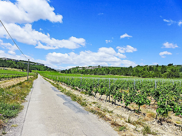 Photo of Les Vendanges